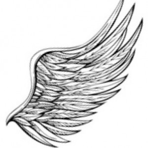 cropped-wings.jpg